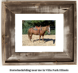 horseback riding near me in Villa Park, Illinois